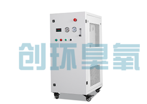 无极石斑鱼养殖水质调控完整指南：臭氧发生器配置与操作步骤