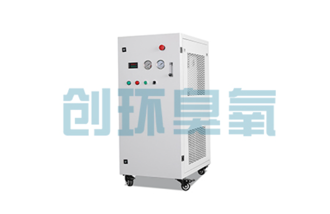 无极比传统换水更高效？臭氧发生器在石斑鱼养殖中的水质净化原理解析