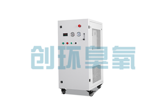 无极比传统换水更高效?臭氧发生器在石斑鱼养殖中的水质净化原理解析